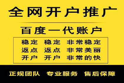 深度解析：SEM竞价优化提升ROI的案例